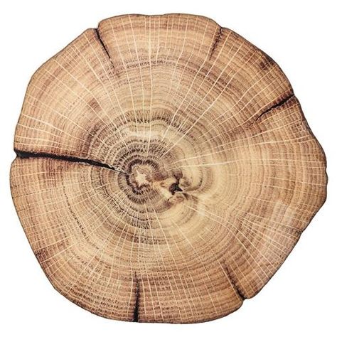 Constructed from 70% medium density fiberboard, 20% acrylic, and 10% cork Kim Seybert, Cross Section, Country Charm, Wood Slices, Natural Brown, Top View, Placemats, To Look, Wood