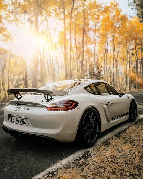 Perfect spotlight for our racing buddy. #PorscheMoment #CaymanGT4 (📸: @cavnar1): Perfect spotlight for our racing buddy. #PorscheMoment… 981 Cayman, Porsche Gt4, Cayman Gt4, Winter Car, Sport Cars, Bugatti, New Cars, Lamborghini, Luxury Cars