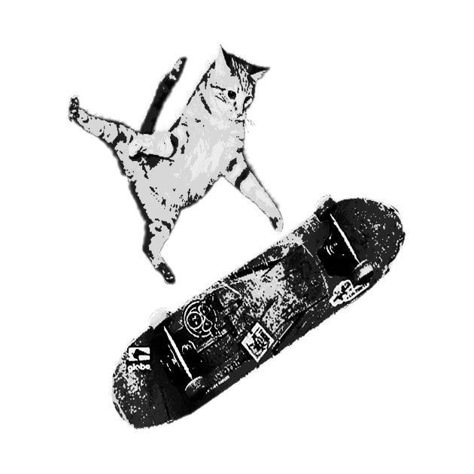 RAD SKATEBOARDING KICK FLIP CAT | SK8CAT Skateboard Drawing Aesthetic, Sk8 Aesthetic, Cat Skateboarding, Cat On Skateboard, Skateboarding Cat, Hilarious Animal Memes, Skate Graphics, Kick Flip, Cat Skateboard