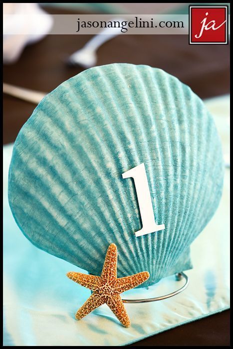 Seashell table number. Photographer: jason angelini photography. Beach Theme Favors, Seashell Table, Unique Table Numbers, Beach Wedding Decorations Reception, Beach Wedding Centerpieces, Sea Wedding, Ocean Wedding, Reception Room, Beach Themed Party