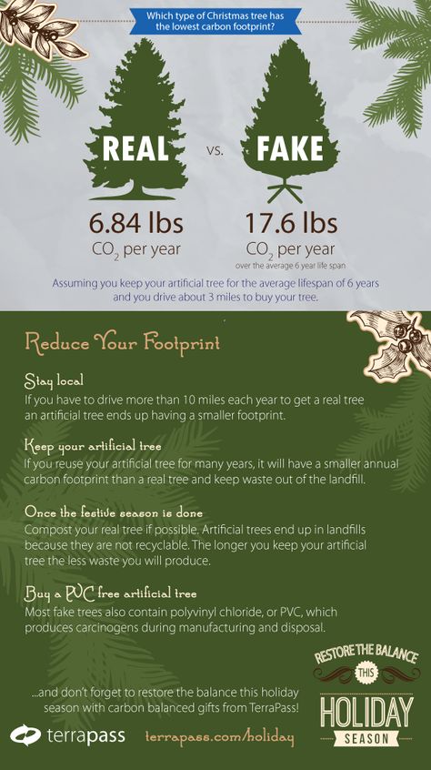 Real vs. Fake: The Great Christmas Tree Debate by terrapass Sustainable Christmas Tree, Types Of Christmas Trees, Newsletter Ideas, Sustainable Christmas, Real Christmas, Real Christmas Tree, Information Graphics, Thanksgiving And Christmas, Help The Environment