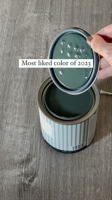 Meg Loren on Instagram: "Cheers to 2023 and all of the colors that were shared! 1905 Green was the biggest hit and it’s still one of my absolute FAVORITE colors to use for a dark and moody green paint! I’m excited to share new colors with you in 2024✨ #greenpaint #moodypaint #diy #beforeandafter #darkgreen #magnoliahomepaint @kilzbrand" 1905 Green Paint Magnolia Color Match, 1905 Green Paint Magnolia, Moody Green Paint, 1905 Green, Restoration Hardware Paint Colors, Restoration Hardware Paint, Magnolia Homes Paint, Moody Bathroom, Moody Green