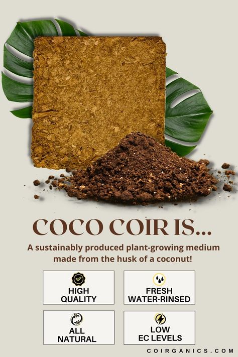 All you need is one of our sturdy and reusable Coco Coir Grow Bags to get started growing your own plants and veggies. Filled with natural coconut fibers, these perforated bags are perfect for aeration and drainage, and they will hold up to 5 gallons of soil. Best Gifts For Gardeners, Coco Peat, Coco Coir, Last Minute Christmas Gifts, Christmas Gifts For Wife, Root Growth, Grow Bags, Peat Moss, Coconut Fiber