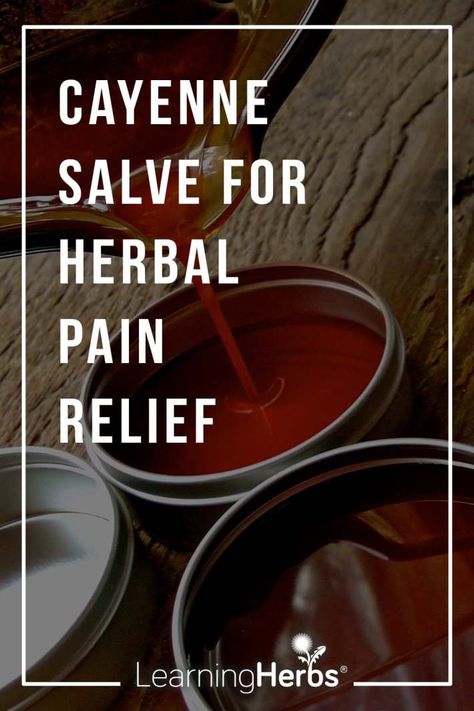 How to Make Cayenne Salve for Herbal Pain Relief Cayenne Salve, Herbal Pain Relief, Salve Recipes, Ginger Benefits, Back Pain Remedies, Herbal Recipes, Cold Home Remedies, Natural Health Remedies, Healing Herbs