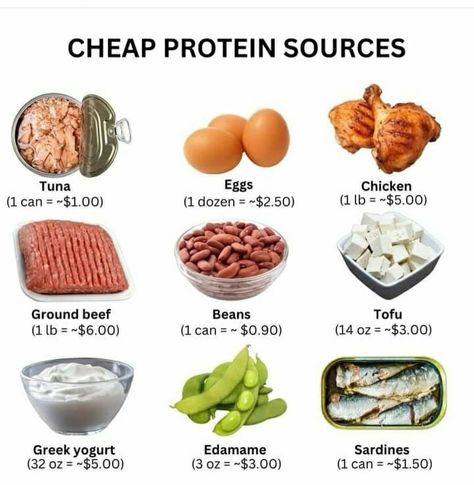 Cheap Protein Sources, High Protein Foods List, Cheap Protein, Ww Lunch, Protein Meal Plan, Macro Nutrition, Daily Protein, Energy Bites Recipes, Healthy Food Menu