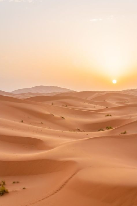 Sahara Desert Photography, Qatar National Day, Indian Desert, Desert Pictures, Desert Background, Desert Aesthetic, City Island, Desert Environment, Desert Photography