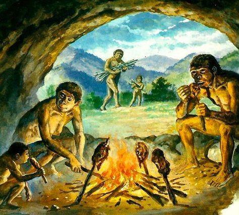 Human Evolution Tree, Ancient Civilizations Projects, Homo Erectus, Prehistoric Man, Animal Agriculture, Early Humans, Prehistoric World, Human Evolution, Ancient Technology