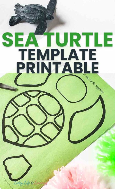 Sea Turtle Template, Turtle Bulletin Board, Turtle Template, Turtle Classroom, Sea Turtle Craft, Turtle Outline, Turtle Activities, Ocean Theme Preschool, Sea Turtle Painting