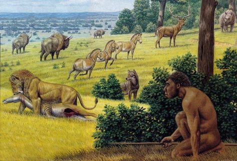 Prehistoric Animals Dinosaurs, Sabertooth Tiger, Ancient Book, Prehistoric Man, Dinosaur Photo, Prehistoric Wildlife, Prehistoric Dinosaurs, Prehistoric World, Animal Artwork