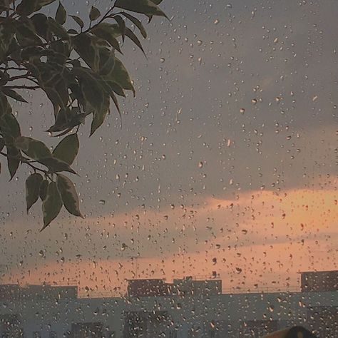 𝑷𝒊𝒏𝒕𝒆𝒓𝒆𝒔𝒕: 𝒉𝒐𝒏𝒆𝒆𝒚𝒋𝒊𝒏 ❀ Kaktus Dan Sukulen, Back Ground, Playlist Covers, 背景 シンプル, Rain Drops, Sky Aesthetic, Aesthetic Photo, Rainy Days, Aesthetic Photography