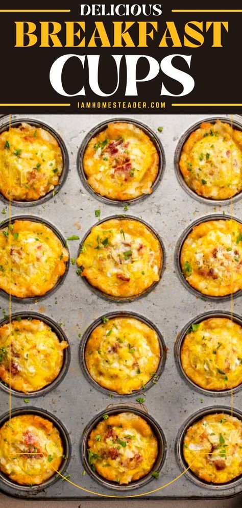 Breakfast Bread Bowls, Tator Tot Breakfast, Breakfast Potato Casserole, Egg Muffins Recipe, Brown Egg, Egg Cups Breakfast, Tater Tot Breakfast, Bacon Egg And Cheese, Muffin Tin Recipes