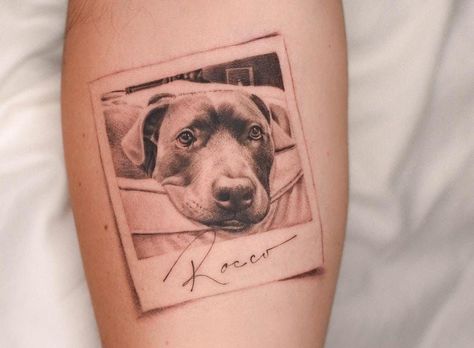 Tattoos Dedicated To Pets, Polaroid Dog Tattoo, Portrait Dog Tattoo, Pet Face Tattoo, Dog Inspo Tattoo, Tattoo To Honor Dog, Dog Portraits Tattoo, Realistic Dog Portrait Tattoo, Dog Portrait Tattoos