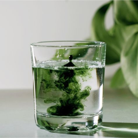 The Anti-Aging Drink Dermatologists Say You Should Have Every Night Before Bed: Chlorophyll Water | SHEfinds Liquid Chlorophyll Benefits, Chlorophyll Benefits, Chlorophyll Water, Liquid Chlorophyll, Clear Skin Detox, Greens Supplement, Dark Green Vegetables, Salt Free Seasoning, Dark Leafy Greens