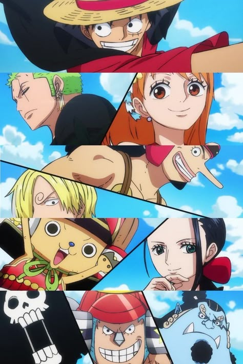 All One Piece Characters, Affordable Streetwear, Straw Hats Pirates, One Piece Fairy Tail, Straw Hat Crew, رورونوا زورو, One Piece Photos, One Piece World, One Piece Cartoon