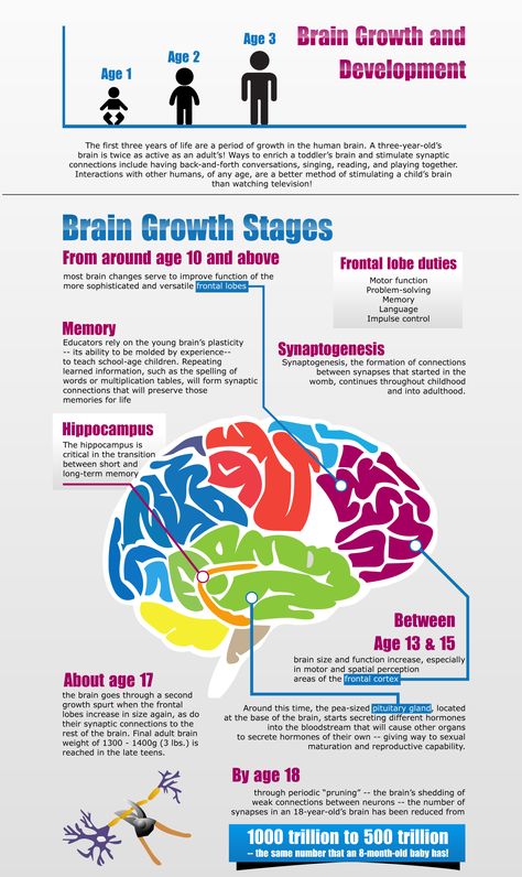 This shows us how brain develops over time. Early Brain Development, How The Brain Works, Brain Development Stages, Brain Development Children, Development Psychology, Brain Anatomy And Function, Human Growth And Development, 블로그 디자인, Middle Childhood