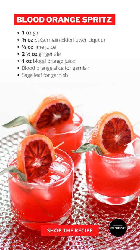 Blood Orange Aperol Spritz, Spritz Recipes, Tipsy Tuesday, Blood Orange Cocktail, Aperol Spritz Recipe, Citrus Garnish, Spritz Recipe, Orange Cocktails, Orange Party