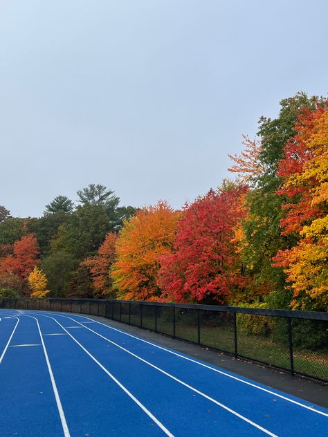 Fall Sports Aesthetic, Cross Country Aesthetic Fall, Autumn Running Aesthetic, Fall Workout Aesthetic, Romanticize November, Track Team Aesthetic, Cross Country Running Aesthetic, Highschool Track, Cross Country Aesthetic