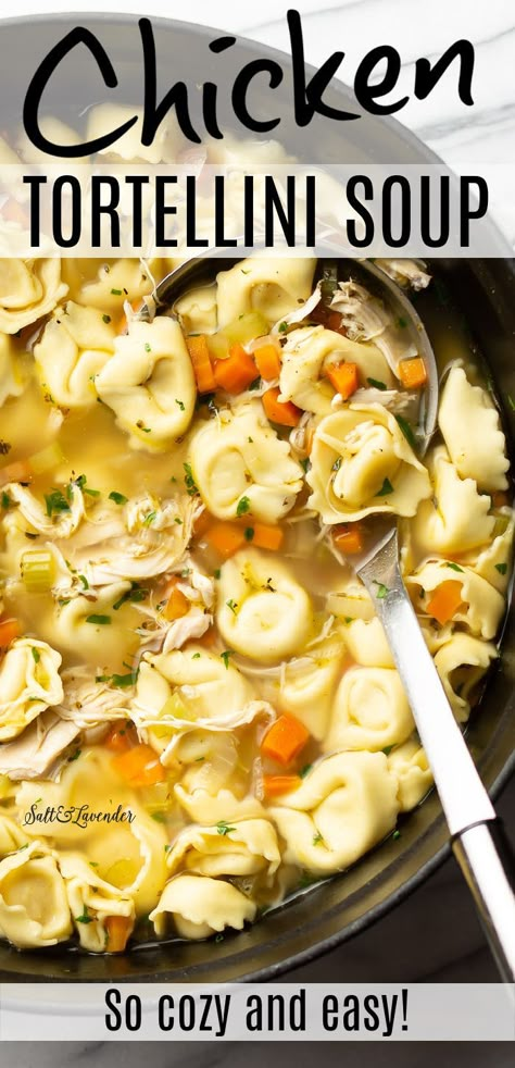 This easy chicken tortellini soup is a winner! It's a great recipe when you're feeling under the weather or just want hot soup fast with no fancy ingredients. Easy Chicken Tortellini Soup, Pasta Tortellini, Chicken Tortellini Soup, Chicken Tortellini, Tortellini Recipes, Soup Chicken, Homemade Soup Recipe, Hearty Chicken, Simple Chicken