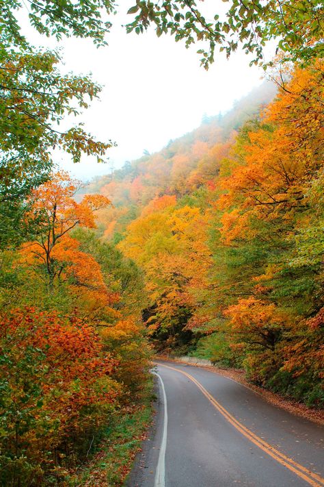 This photo was taken at Smuggler's Notch Vermont in the fall of 2018. Item can be ordered on fine art printing paper as well as canvas and canvas wrap. In sizes of 8x10, 11x14, and 16x20. Canvas Wrap refers to the canvas being mounted on a supporting frame. Vermont In The Fall, Fall In Vermont, Holiday Shoot, Steampunk City, Vermont Fall, Business Things, Fall Lovers, Fall Girl, Vision Board Images