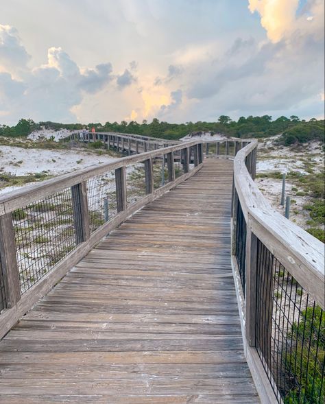 Board Walk, Beach Walks, Minecraft Ideas, Walking Trails, Beach Walk, Future Life, Art Class, Public Library, Art Classes