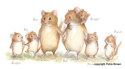 mouse family Cat And Mouse Drawing, Cute Mice Illustration, Mouse Family Illustration, Rat Family, House Mouse Illustration, Harvest Mouse Illustration, Brown Mouse, Mouse Illustration, Mouse Drawing