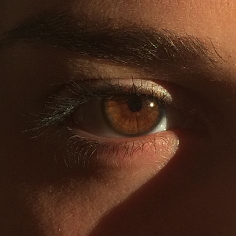 Brown Eyed Boy, Brown Eyes Men Aesthetic, Brown Eyes Aesthetic Boy, Brown Eyes Guy Aesthetic, Yellow Eyes Aesthetic Male, Honey Brown Eyes Aesthetic, Brown Eyes In The Sun Aesthetic, Brown Eyes Aesthetic, Brown Eye Boys