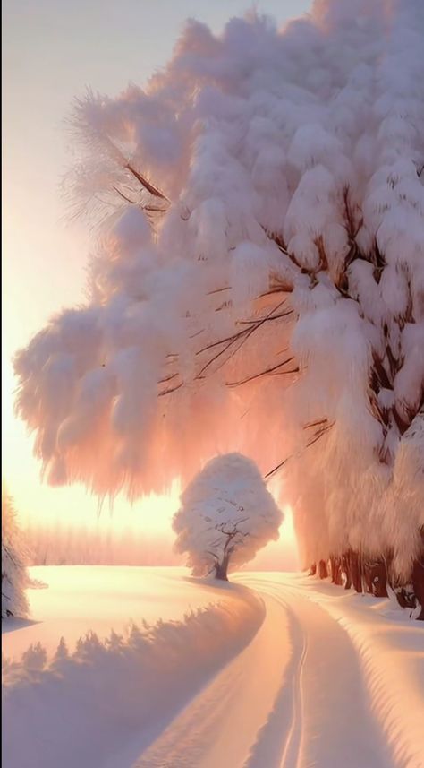 Nice Pictures, Pretty Landscapes, Amazing Nature Photos, Winter Scenery, Winter Pictures, 판타지 아트, Beautiful Scenery Nature, Dreamy Art, Pretty Wallpapers Backgrounds