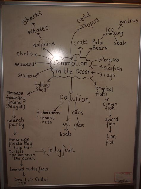 Mind map created with the children Sea Life Mind Map, Mind Maping, Ocean Things, Sea Life Centre, Textiles Gcse, Textiles Ideas, Turtle Facts, Fish Information, Sea Things