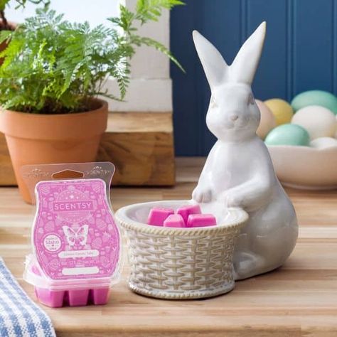 Shop the Scentsy March 2024 Warmer & Scent of the Month. Harry Hare Rabbit Warmer & Cotton Candy Tails Scentsy Fragrance. Perfect for your Easter Celebration! Happy Hare Scentsy Warmer, Scentsy 2024 Spring, Scentsy March 2024, Scentsy Easter 2024, Scentsy Warmers 2024, Scentsy Spring Summer 2024, Scentsy 2024, Mystery Hostess, Scentsy Oils