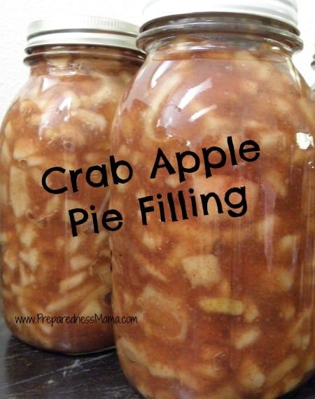 Crab Apple Crazy - A Collection of Recipes | PreparednessMama Crab Apple Pie Filling, Crab Apple Pie, Crabapple Pie, Crab Apple Recipes, Crab Apple Tree, Crab Apples, Pie Fillings, Dessert Mousse, Pie Filling Recipes