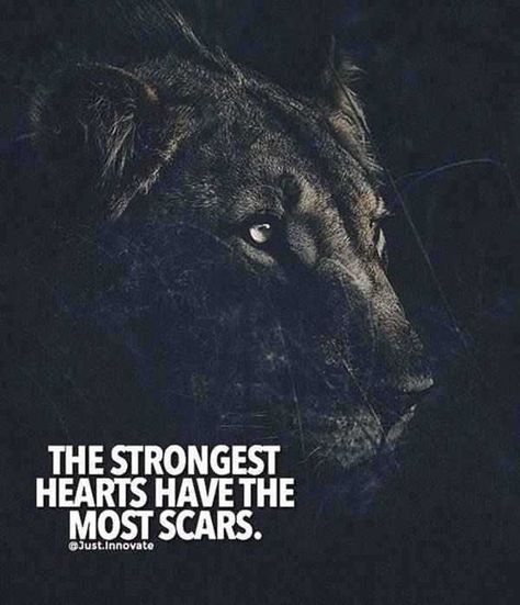 67 Great Inspirational Quotes Motivational Words To Keep You Inspired 35 Strong Heart, Lion Quotes, Wolf Quotes, Great Inspirational Quotes, The Boogeyman, Warrior Quotes, Common Ground, Strong Quotes, Badass Quotes