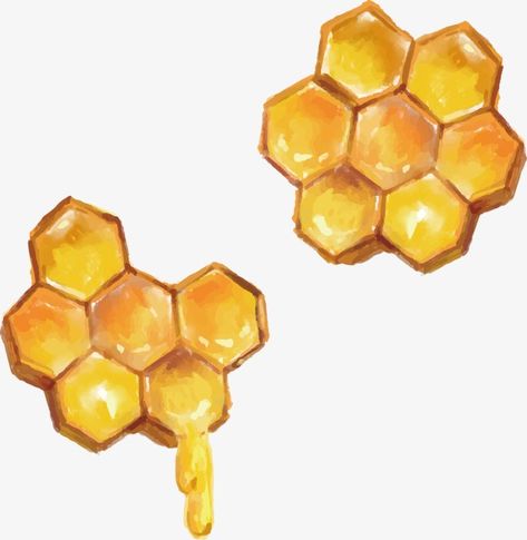 Honeycombs Drawings, Honey Art, Tattoo Health, Natural Form Art, Bee Drawing, Aesthetic Health, Bee Painting, Bee Honeycomb, Bee Tattoo