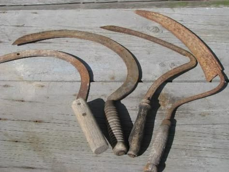 old farm tools lot, vintage corn knives w/ sickle cutter blade and wood handle Old Farm Tools, Farming Tools, Antique Hand Tools, Farm Estate, Vintage Guide, Jonathan Crane, Drawing Classes, Boreal Forest, Farm Tools