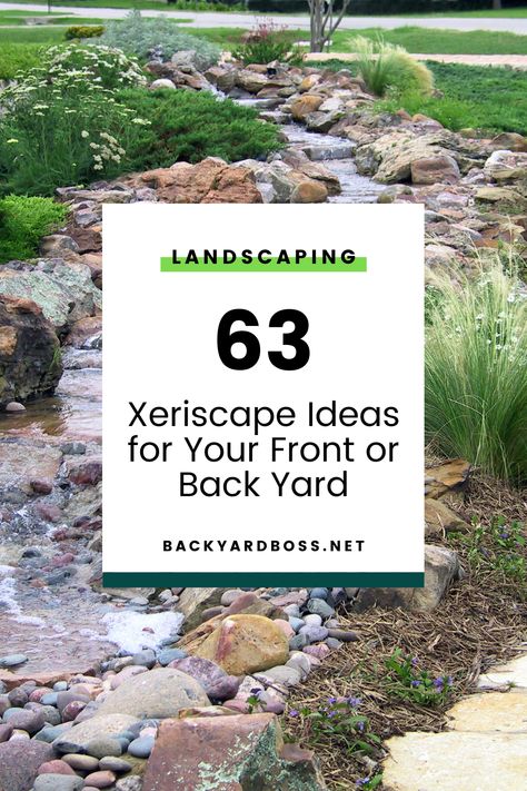 Diy Xeriscape Front Yard, Low Water Landscaping Front Yard, Xeroscaping Backyard, Zeroscape Landscaping, Drought Tolerant Landscape Front Yard, Xeriscape Ideas, Colorado Landscaping, Xeriscape Front Yard, Cheap Landscaping