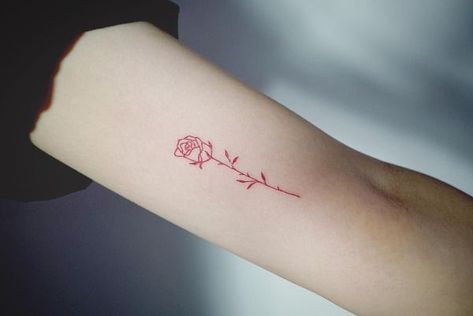 and maybe it’s because of how cool they Vintage Aesthetic Tattoos, Rose Outline Tattoo, Pink Rose Tattoos, Rose Outline, Timeless Tattoo, Small Rose Tattoo, Outline Tattoo, Aesthetic Tattoos, Red Rose Tattoo