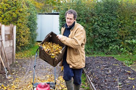 What To Plant In October, Leaf Mould, Planting Garlic, Patio Trees, Planting Onions, Harvest Salad, Fruits And Flowers, Cold Frame, Spring Bulbs