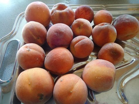 Best Way To Freeze Peaches, Freezing Whole Peaches, Freezing Peaches, Nectarine Recipes, Freezing Fruit, Canned Peaches, Peach Recipe, Frozen Food, Family Friendly Meals