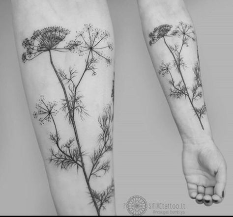 Forest Flowers Tattoo, Cow Parsley Tattoo, Meadow Flowers Tattoo, Wild Flowers Tattoo Design, Botanisches Tattoo, Botanical Tattoo Design, Muster Tattoos, Cat Tattoos, Floral Tattoo Sleeve