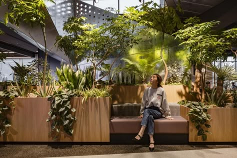 Workplace Rising Jungle Hotel, Woods Bagot, Architecture Company, Biophilic Design, Lobby Design, Santa Lucia, Home Ownership, Office Interior, Indoor Plant