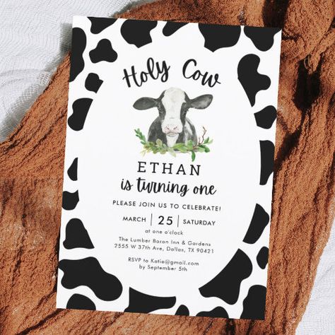 Holy Cow Im One Cow Boy 1St Birthday Invitation #zazzle #weddinginvitations #birthdayinvitations #babyshowerinvitations #zazzleinvitations #monogram #businesscards #graduation #homedecor Cow Invitations, Baby Boy 1st Birthday Themes, Boy 1st Birthday Themes, Cow Themed Party, Children Birthday Party Ideas, Holy Cow Im One, Cow 1st Birthday, Baby Cake Ideas, 1st Birthday Theme Ideas