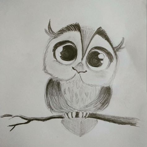 Cute Owl Sketch, Cartoon Bird Drawing Simple, Cute Owl Drawing Simple, Owl Sketch Simple, Owl Pencil Sketch, Owl Drawing Sketches, Owl Drawing Easy, Simple Owl Drawing, Easy Owl Drawing