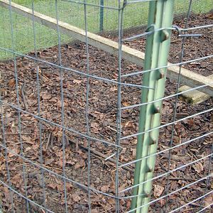 Threads - Best bedding for wet muddy run Chicken Run Bedding Ideas, Chicken Run Bedding, Muddy Chicken Run, Hobby Farms Layout, Chicken Coop Bedding, Meal Worms Raising, Muddy Pigs, Duck Pens, Chicken Coop Kit