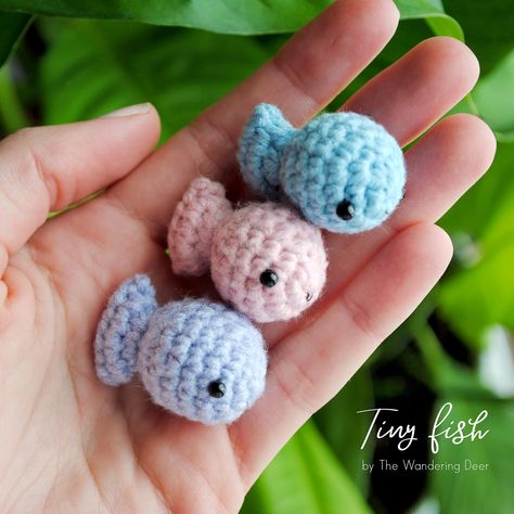 These Tiny Fish were designed by The Wandering Deer. You will need Sport Weight Yarn [2] and a 3 mm hook to make your tiny fish. The pattern is available for free on Instagram @wanderingdeer Cute Crochet Patterns Free, Cute Crochet Patterns, Crochet Fish Patterns, Tiny Fish, Crochet Fish, Crochet Patterns Free, Teaching Colors, Fish Patterns, Diy Crochet Projects