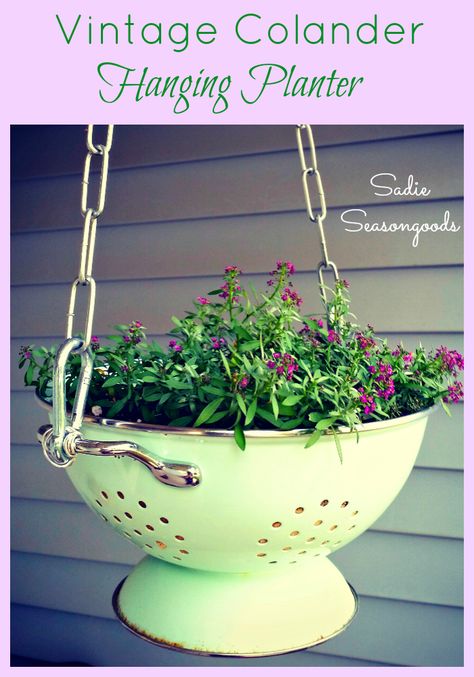 Add vintage charm to your front porch by converting an antique enameled kitchen colander into a fun AND functional hanging planter! It comes complete with drainage holes and the handles make it super easy to hang! Perfect for vintage colanders that have rust or other wear and tear. Diy Hanging Planter, Porch Planters, Hanging Flower Baskets, Basket Planters, Unique Planter, Vintage Planters, Diy Hanging, Hanging Planter, Diy Planters