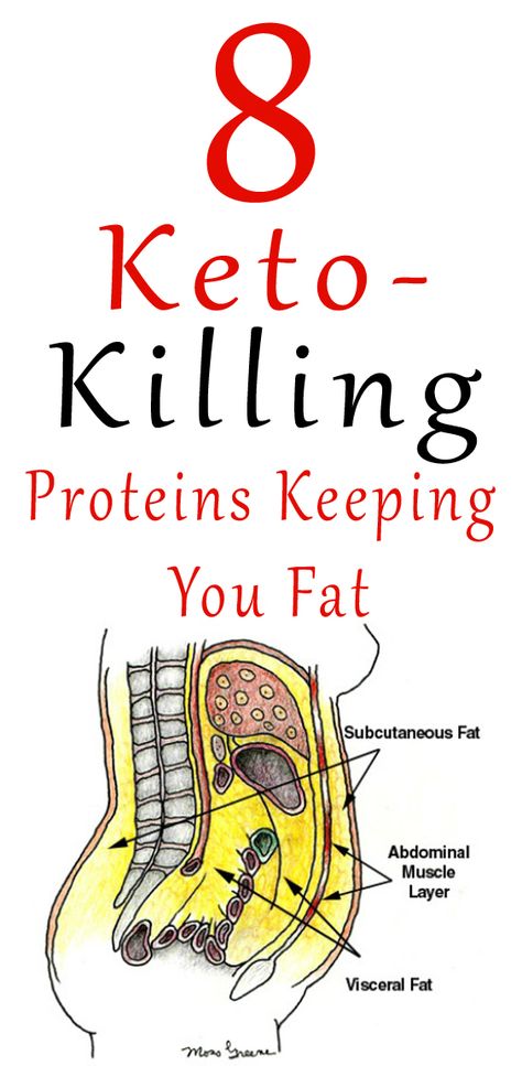 If you're looking for proteins to eat on a keto diet, but you're confused about all of the conflicting information this article is for you. Learn about 8 keto proteins that are making you gain weight. Breakfast Low Carb, Visceral Fat, Makanan Diet, Diets For Beginners, Diet Help, Diet Keto, Gain Weight, Lose 50 Pounds, Keto Diet For Beginners