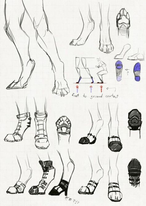 Drawing Eyes, Anatomy Drawing, Creature Concept Art, Hyena, Anatomy Art, Art Poses, Art Tutorials Drawing, Drawing Base, Drawing Poses