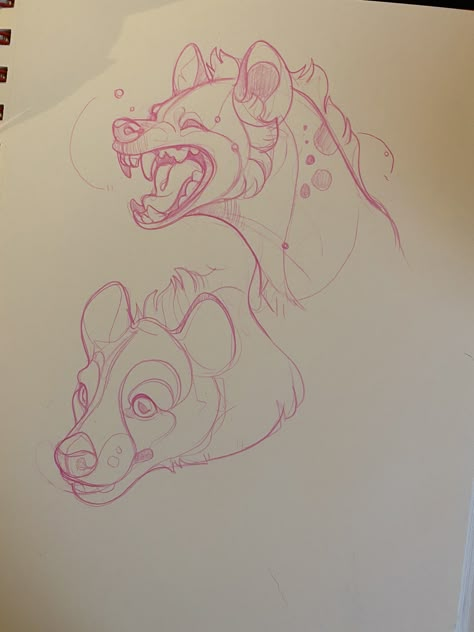 Hyena Sketch, Ear Tattoo Ideas, Ear Tattoos, Canine Art, Creature Drawings, Desenho Tattoo, Animal Sketches, Hyena, Cool Art Drawings