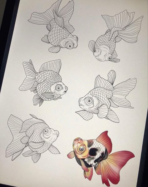 Japanese Goldfish Tattoo Design, Japan Koi Tattoo, Goldfish Line Art, Japanese Goldfish Tattoo, Fish Tattoo Japanese, Goldfish Drawing, Japanese Fish Tattoo, Goldfish Tattoo, Goldfish Art