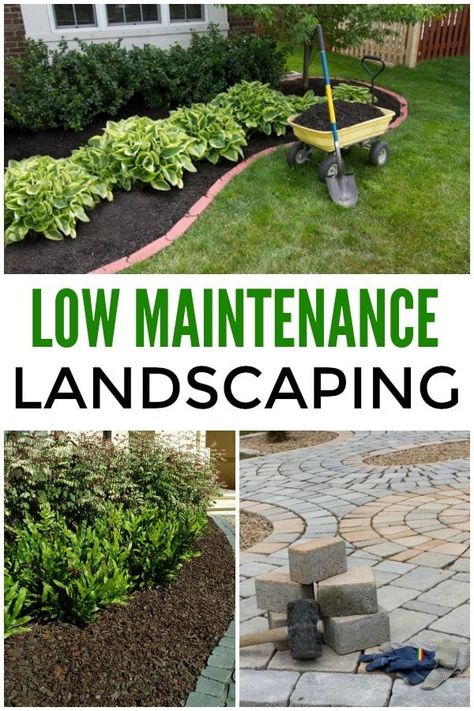 Low Maintenance Landscaping Ideas Low Maintenance Landscaping Front Yard, Landscape Ideas Front Yard Curb Appeal, Front Yards Curb Appeal, Cheap Landscaping Ideas, Yard Landscaping Simple, Easy Landscaping, Front Landscaping, Rustic Flower, Low Maintenance Landscaping