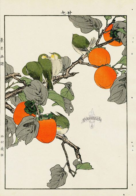 Japanese Ink Art Illustrations, Japanese Print Design, Persimmon Wallpaper, Japanese Painting Traditional, Japanese Art Flowers, Japanese Art Aesthetic, Vintage Japanese Illustration, Japan Traditional Art, Japanese Flower Art